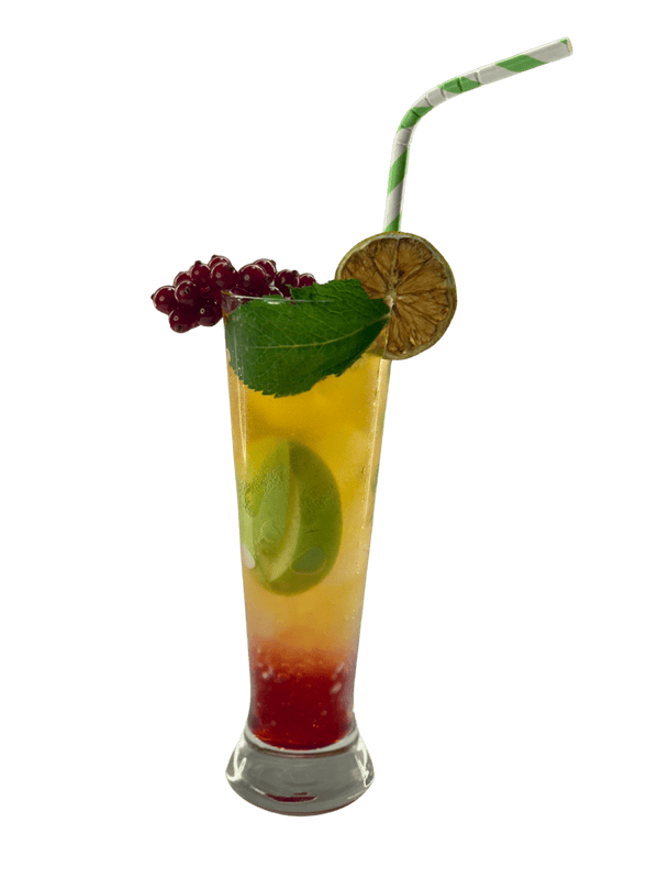 Colorful tropical cocktail with lime, lemon, and berry garnishes at Shisha Lounge Nijmegen.