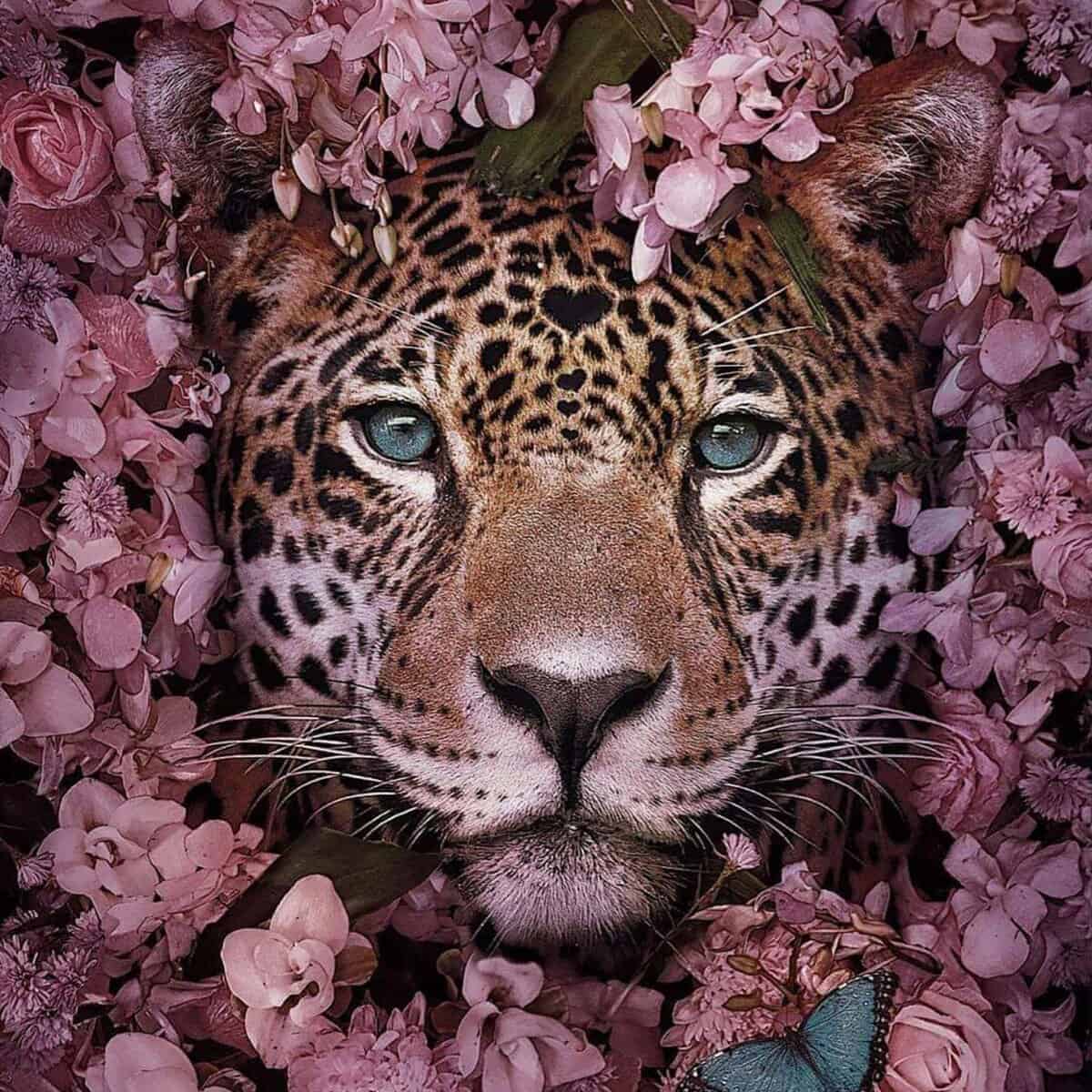 Leopard surrounded by pink blossoms at the Nijmegen Shisha Lounge, a tranquil spot by the Waalkade.